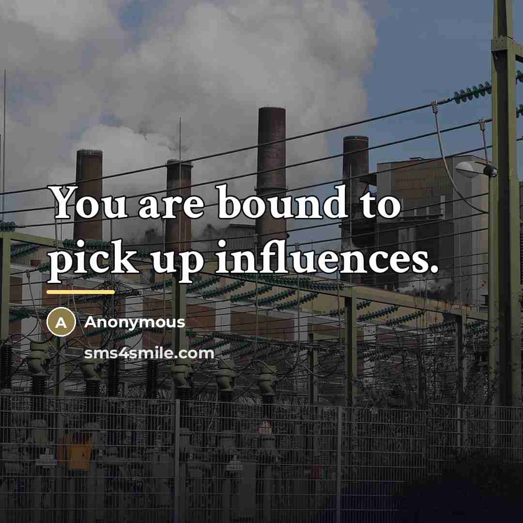 “You are bound to pick up influences.…” quote by Anonymous