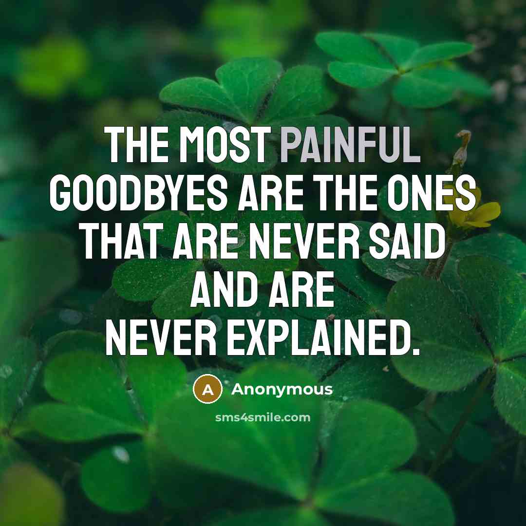 “The most painful goodbyes are the ones that are never…” quote by Anonymous