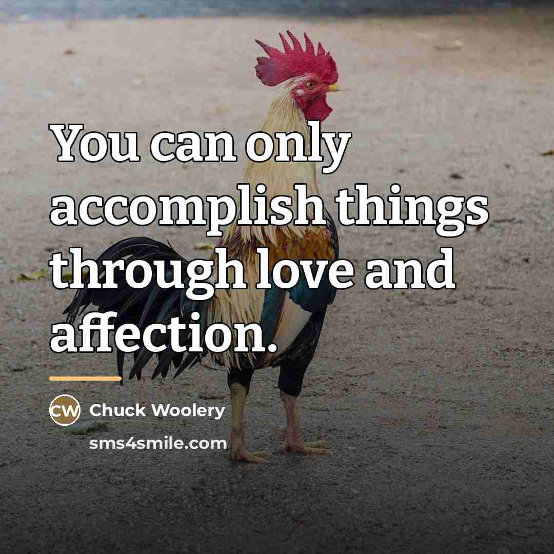 “You can only accomplish things through love and affection.…” quote by Chuck Woolery