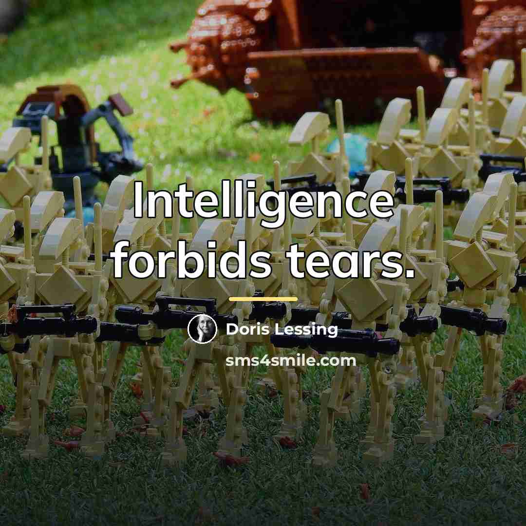 “Intelligence forbids tears.…” quote by Doris Lessing