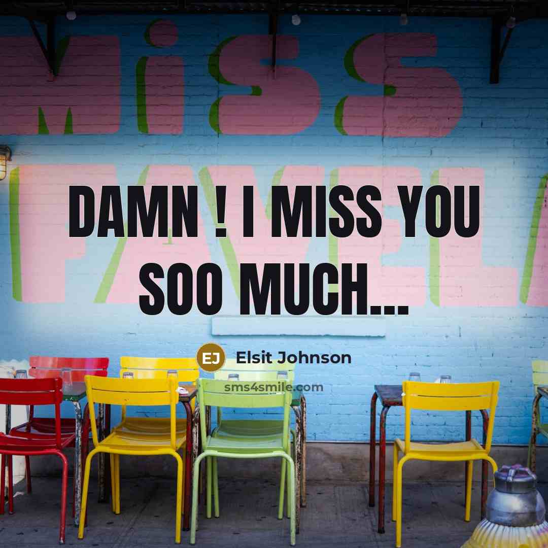 “DAMN ! I Miss You Soo Much...…” quote by Elsit Johnson