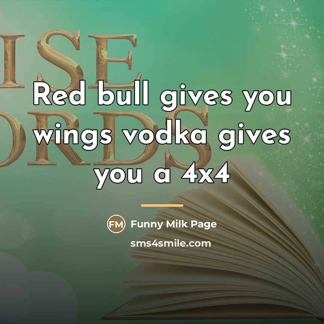 “Red bull gives you wings vodka gives you a 4x4…” quote by Anonymous
