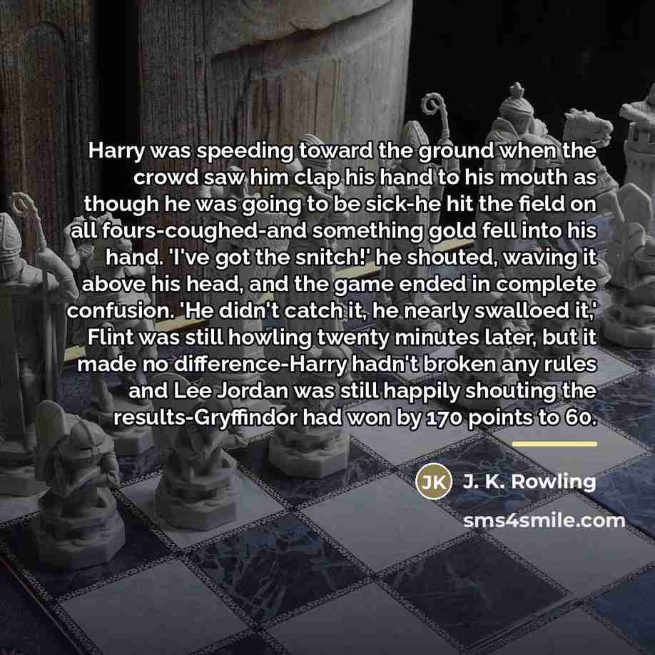 “Harry was speeding toward the ground when the crowd saw…” quote by J. K. Rowling