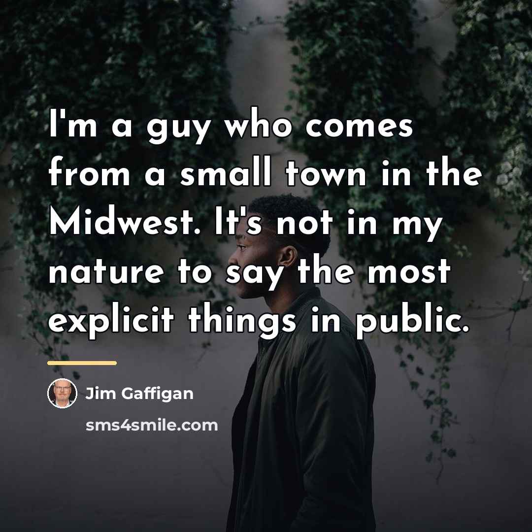 “I'm a guy who comes from a small town in…” quote by Jim Gaffigan