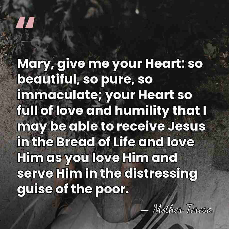 Mary, give me your Heart: so beautiful, so pure, so immaculate; your&hellip; - Mother Teresa