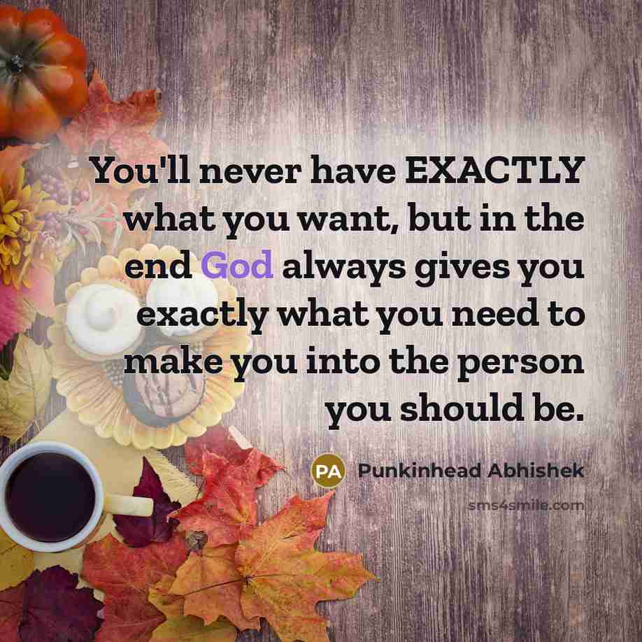 “You'll never have EXACTLY what you want, but in the…” quote by Punkinhead Abhishek