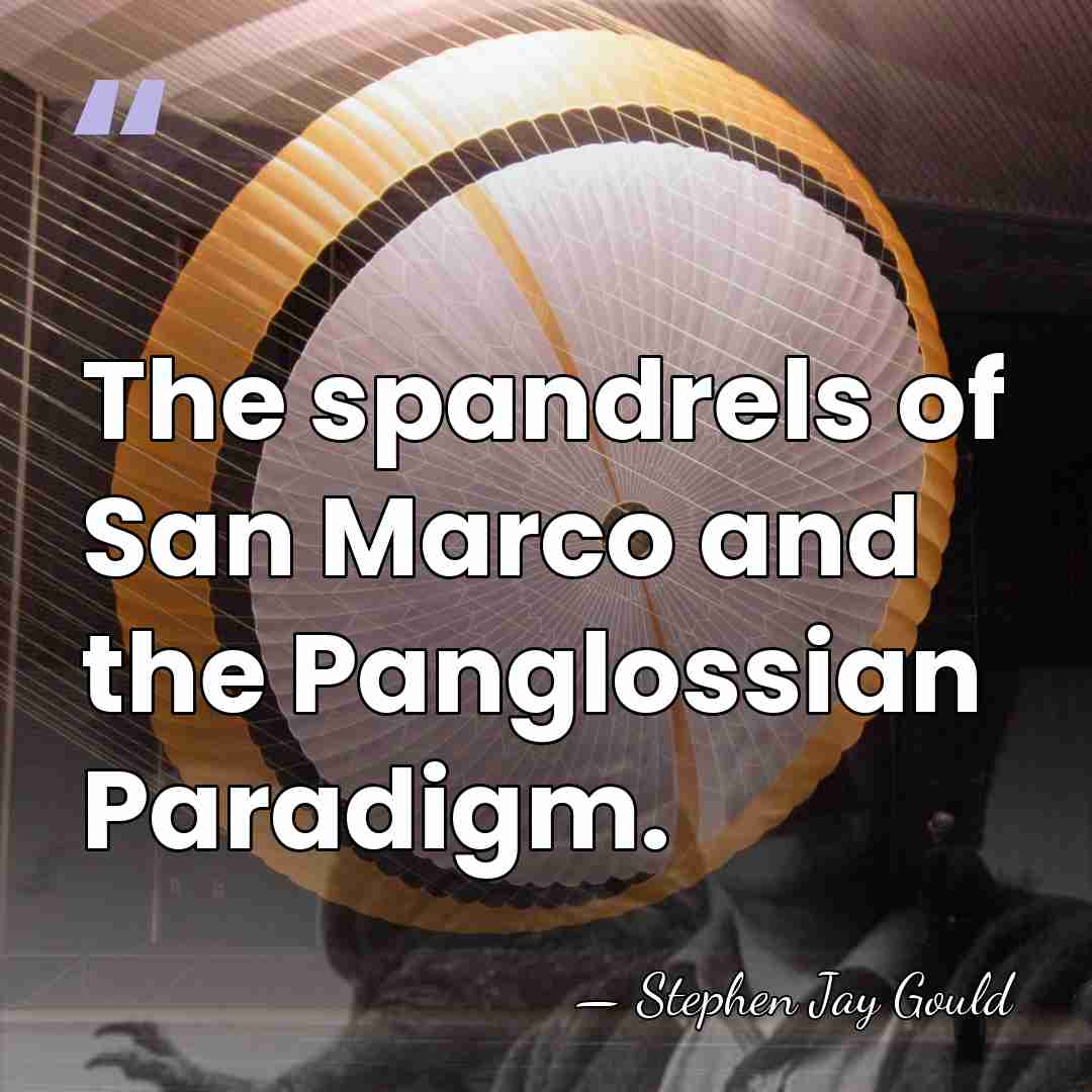 The spandrels of San Marco and the Panglossian Paradigm. - Stephen Jay Gould