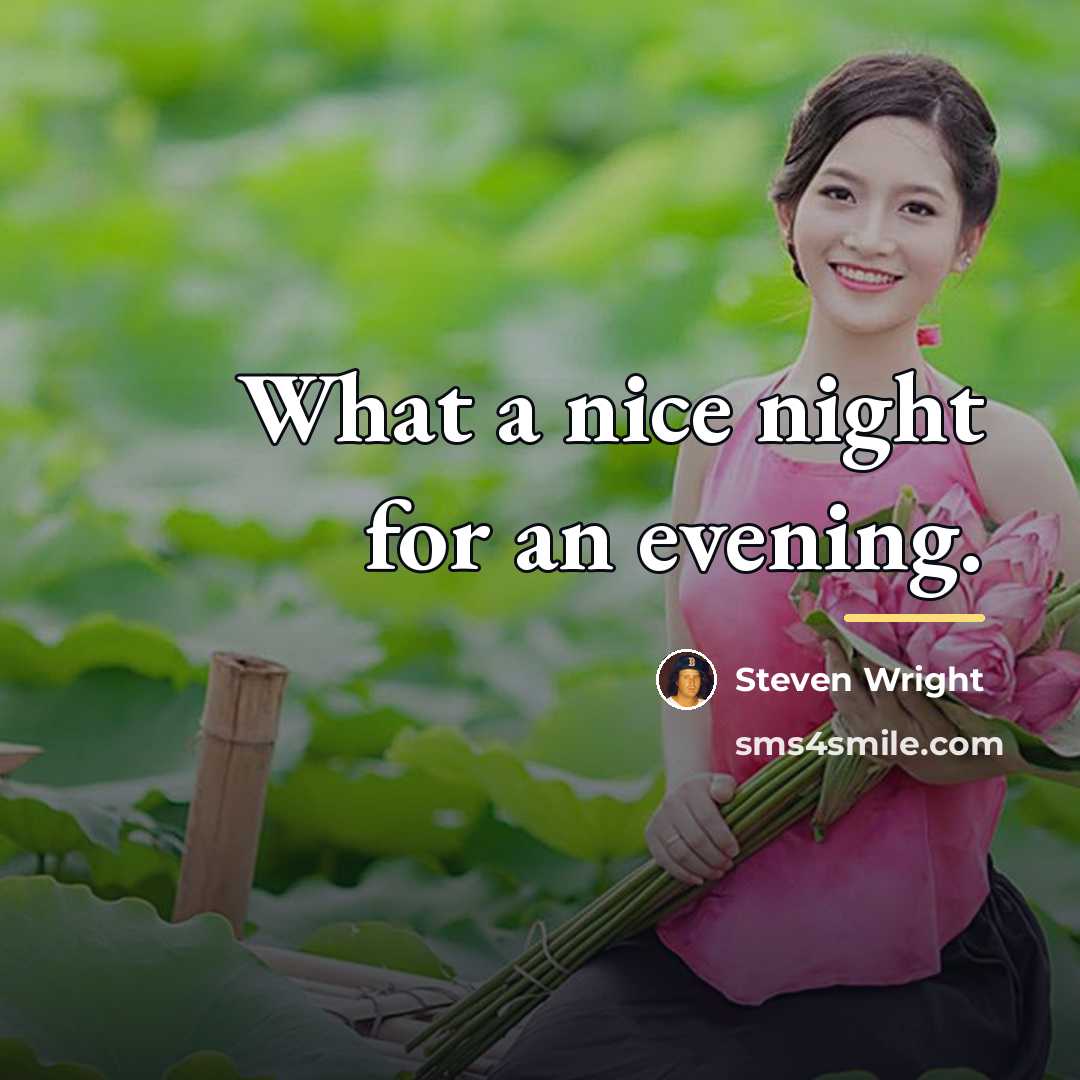 “What a nice night for an evening.…” quote by Steven Wright