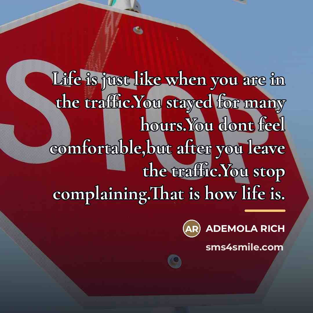 “Life is just like when you are in the traffic.You…” quote by Ademola Rich