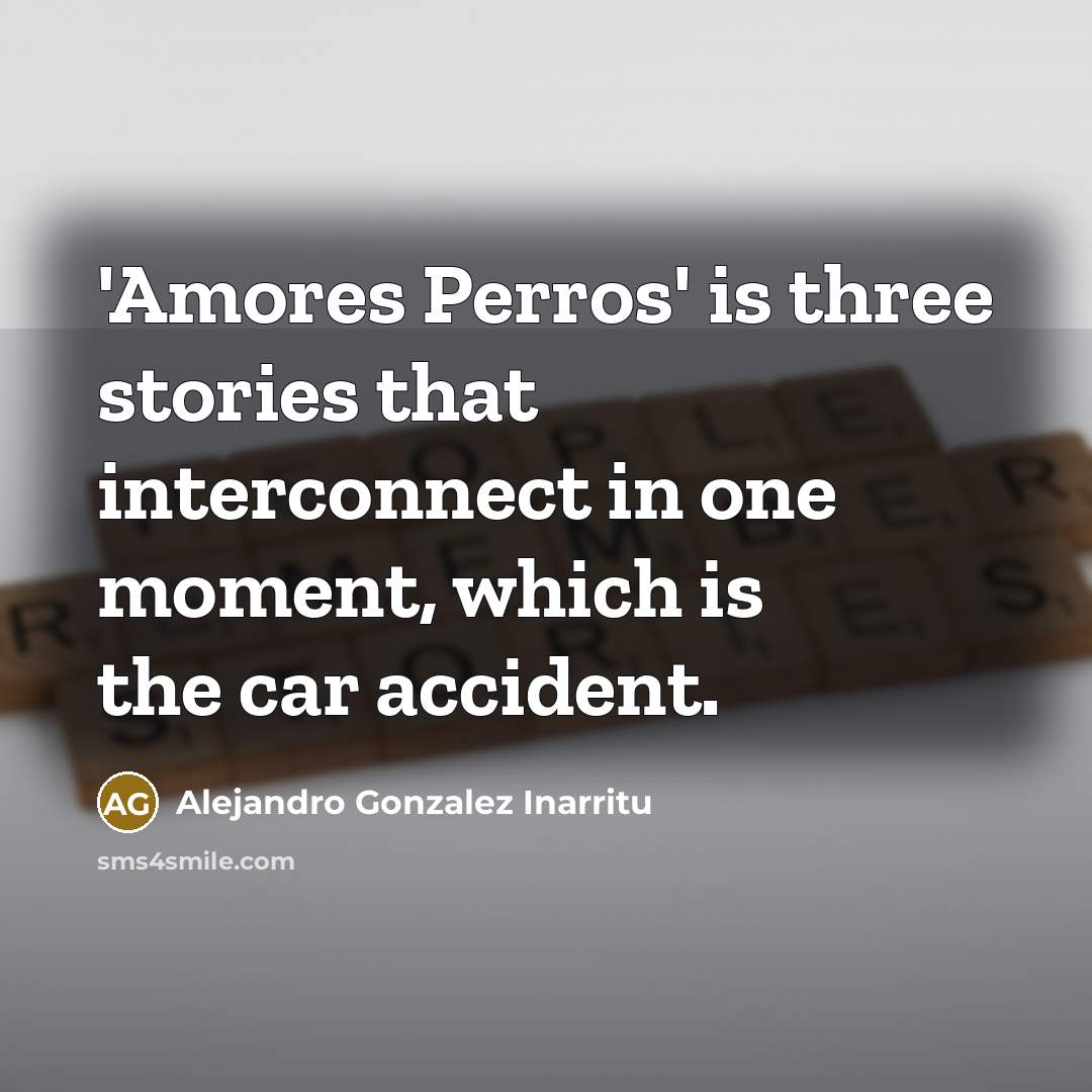 “'Amores Perros' is three stories that interconnect in one moment,…” quote by Alejandro Gonzalez Inarritu