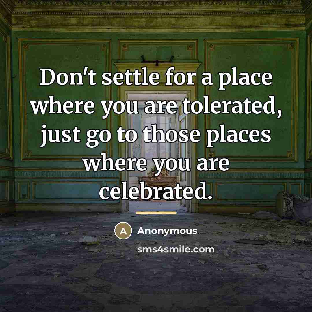 “Don't settle for a place where you are tolerated, just…” quote by Anonymous