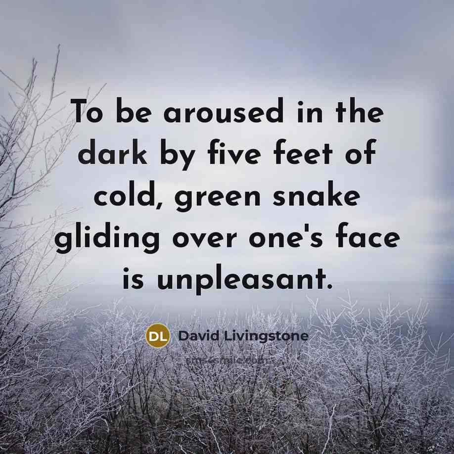 “To be aroused in the dark by five feet of…” quote by David Livingstone