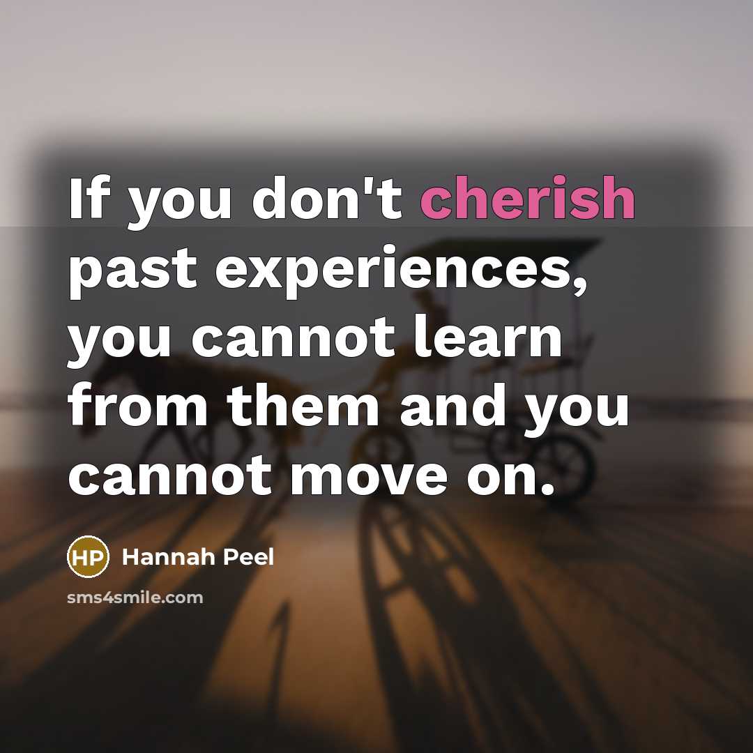 “If you don't cherish past experiences, you cannot learn from…” quote by Hannah Peel