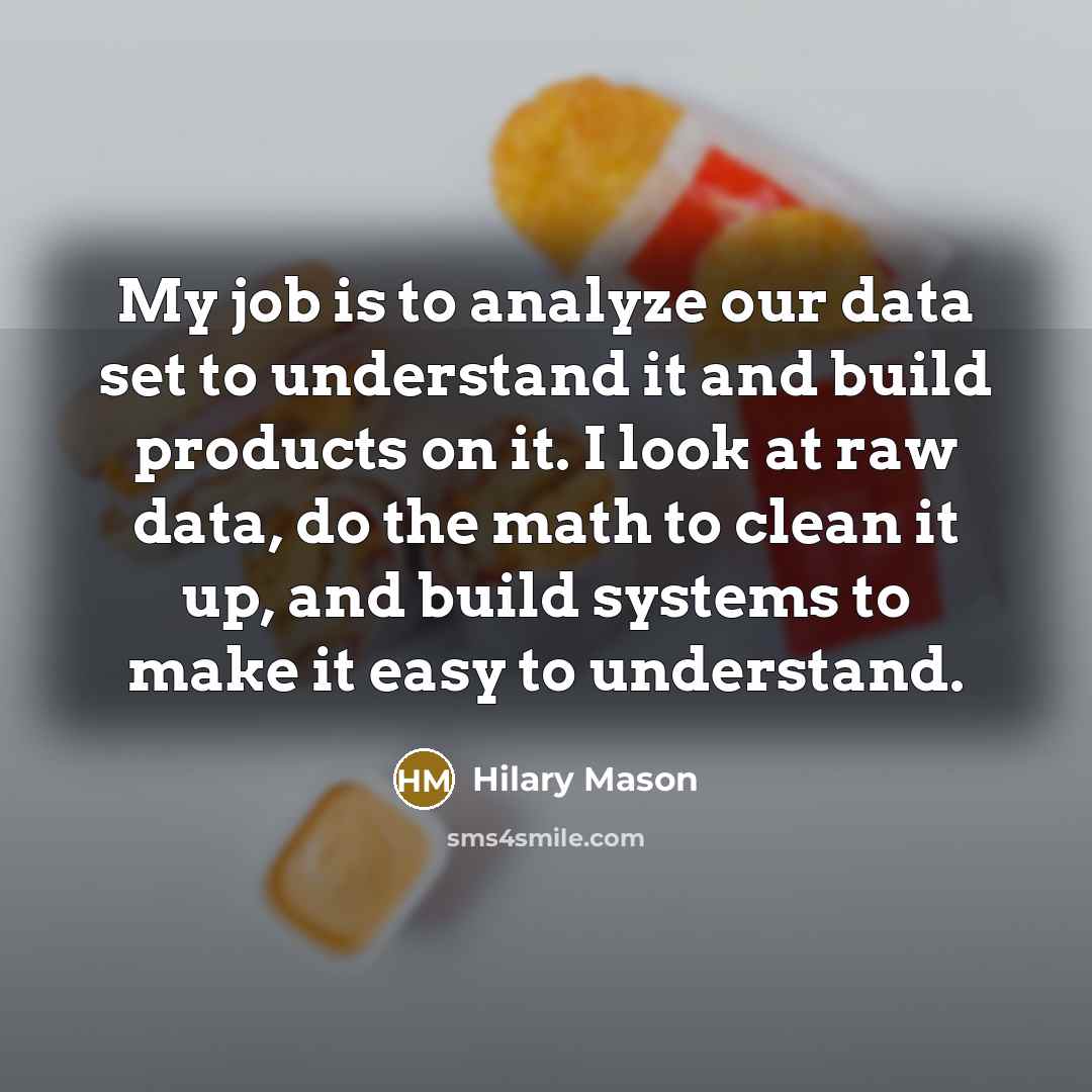 “My job is to analyze our data set to understand…” quote by Hilary Mason