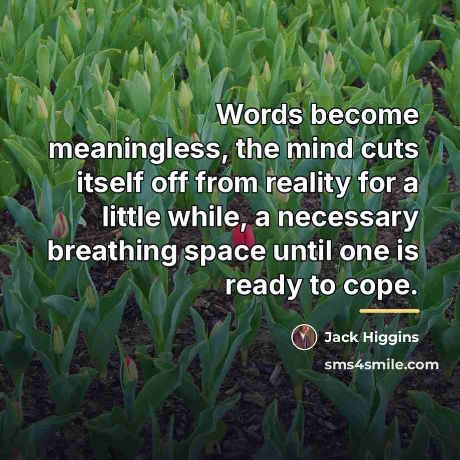 “Words become meaningless, the mind cuts itself off from reality…” quote by Jack Higgins
