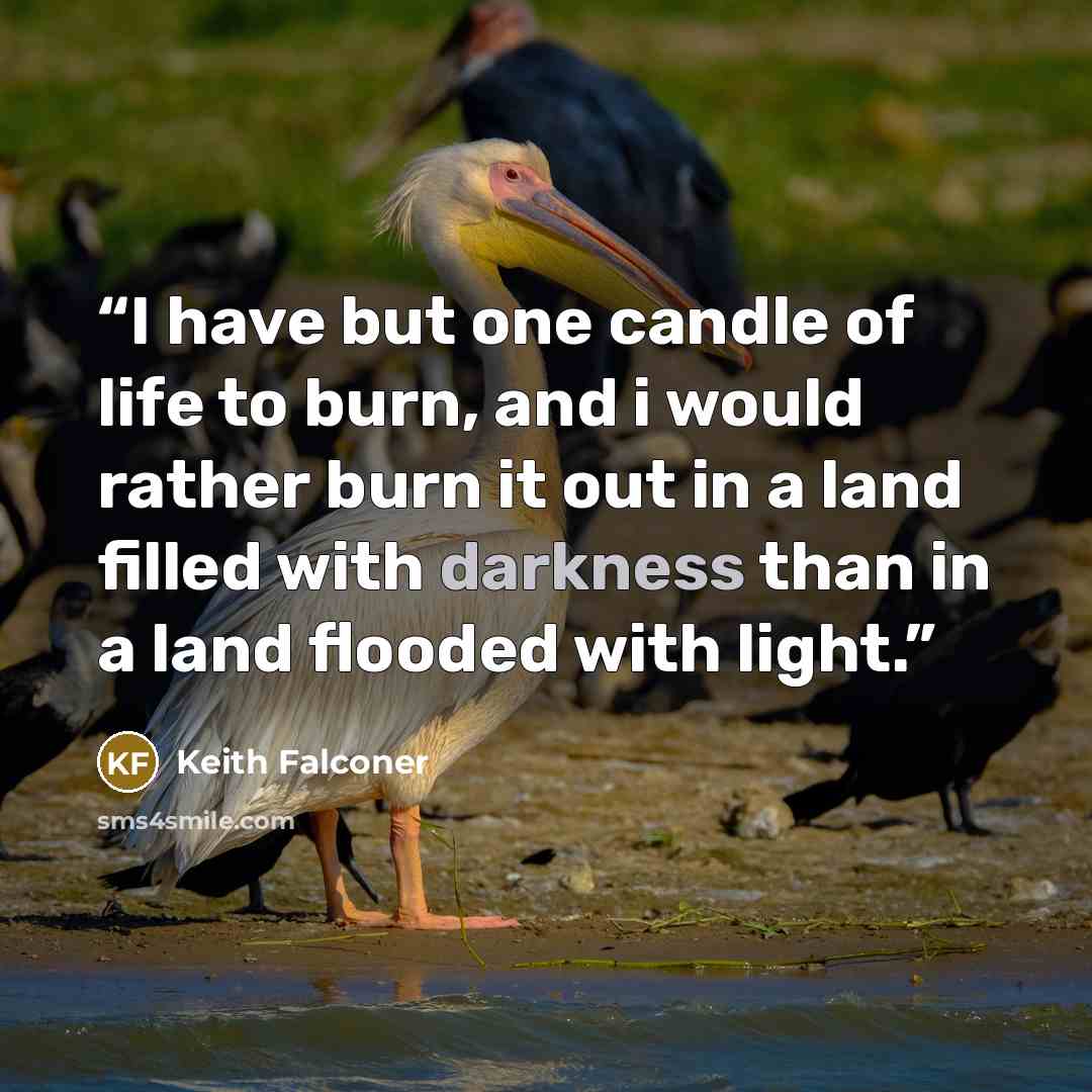 “I have but one candle of life to burn, and i would rather burn it out in a land filled with darkness than in a land flooded with light.” quote by Keith Falconer