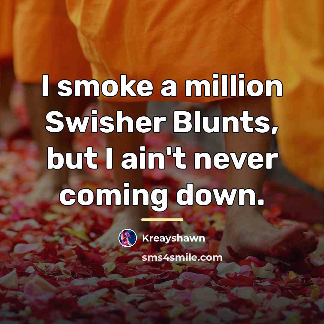 “I smoke a million Swisher Blunts, but I ain't never…” quote by Kreayshawn