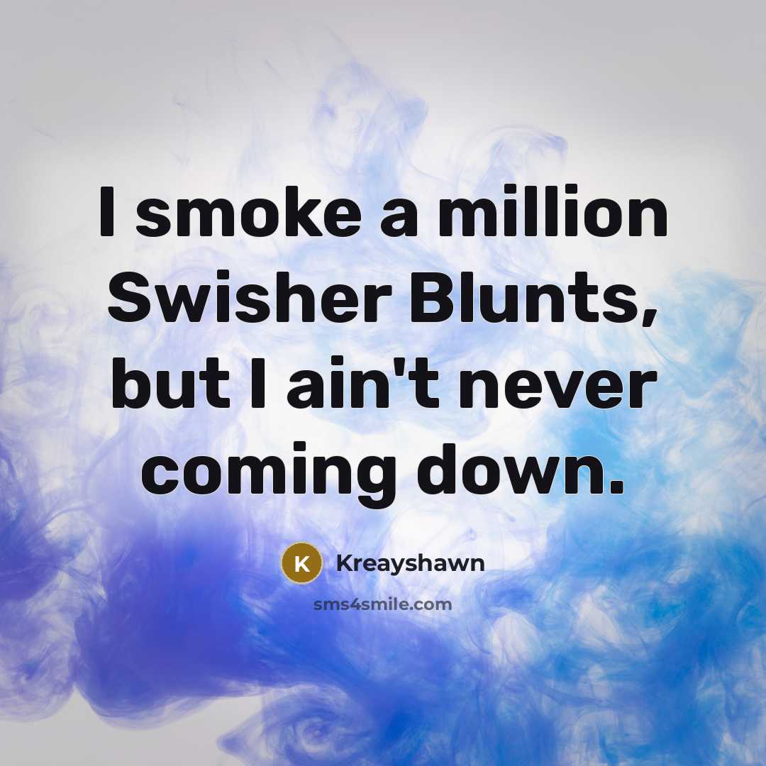 “I smoke a million Swisher Blunts, but I ain't never coming down.” quote by Kreayshawn