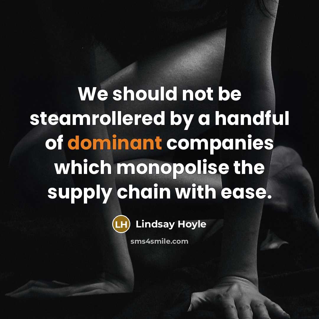 “We should not be steamrollered by a handful of dominant…” quote by Lindsay Hoyle