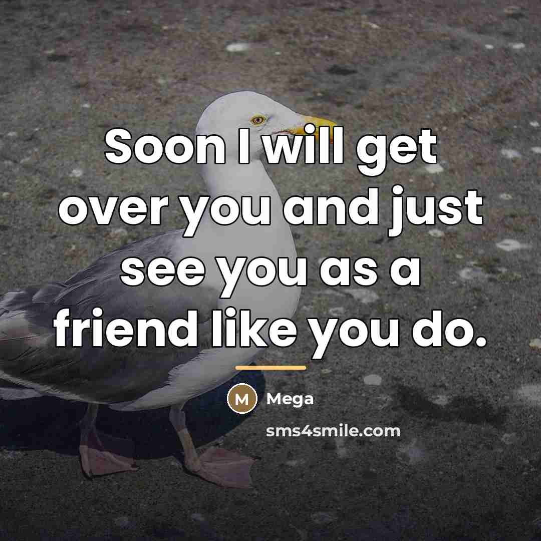 “Soon I will get over you and just see you…” quote by Mega