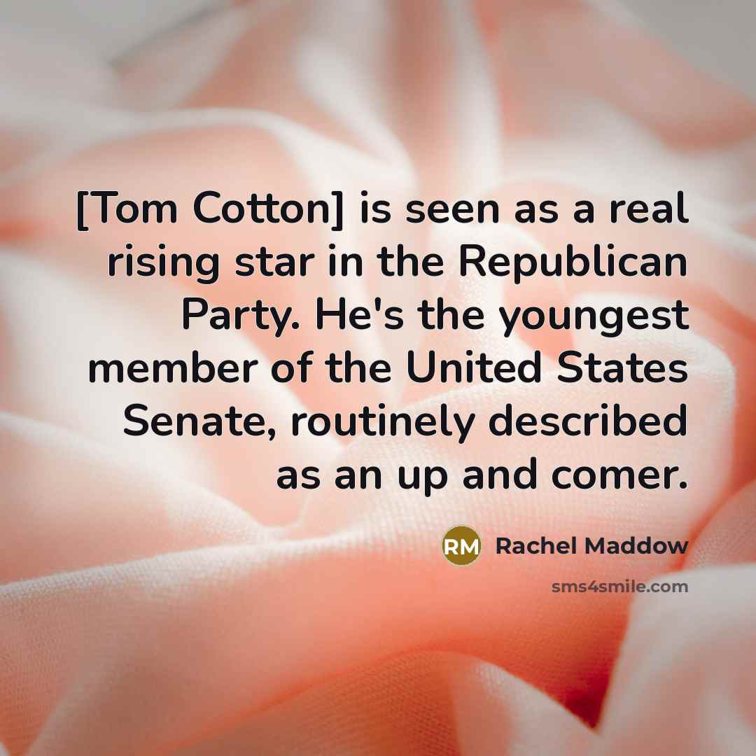 “[Tom Cotton] is seen as a real rising star in…” quote by Rachel Maddow