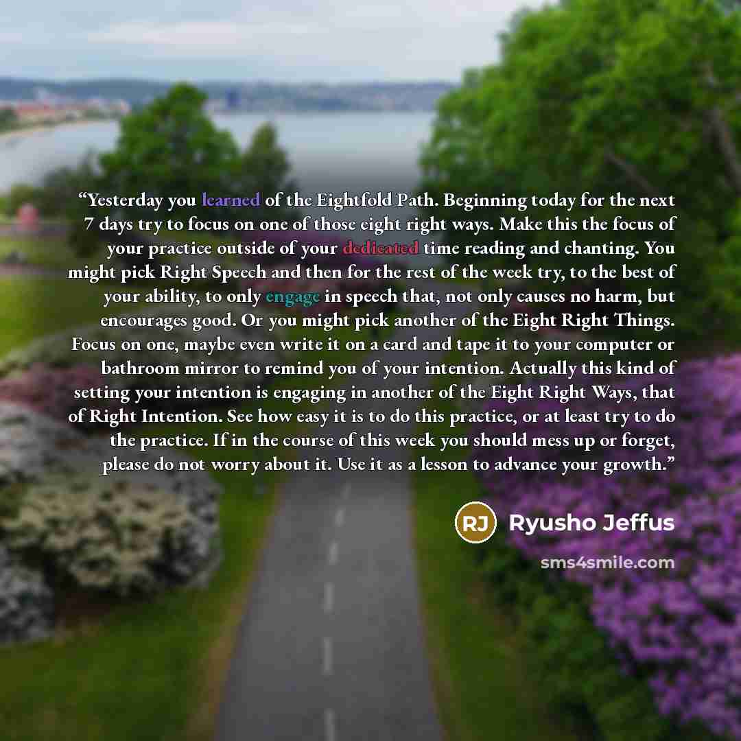 “Yesterday you learned of the Eightfold Path. Beginning today for the next 7 days try to focus on one of those eight right ways. Make this the focus of your practice outside of your dedicated time reading and chanting. You might pick Right Speech and then for the rest of the week try, to the best…” quote by Ryusho Jeffus