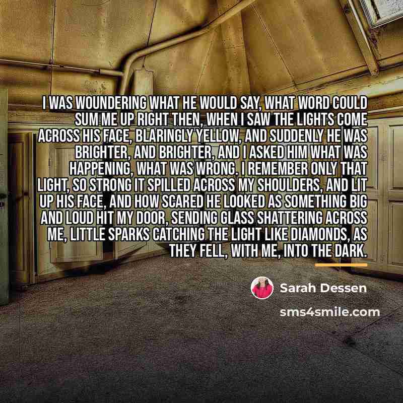 “I was woundering what he would say, what word could…” quote by Sarah Dessen