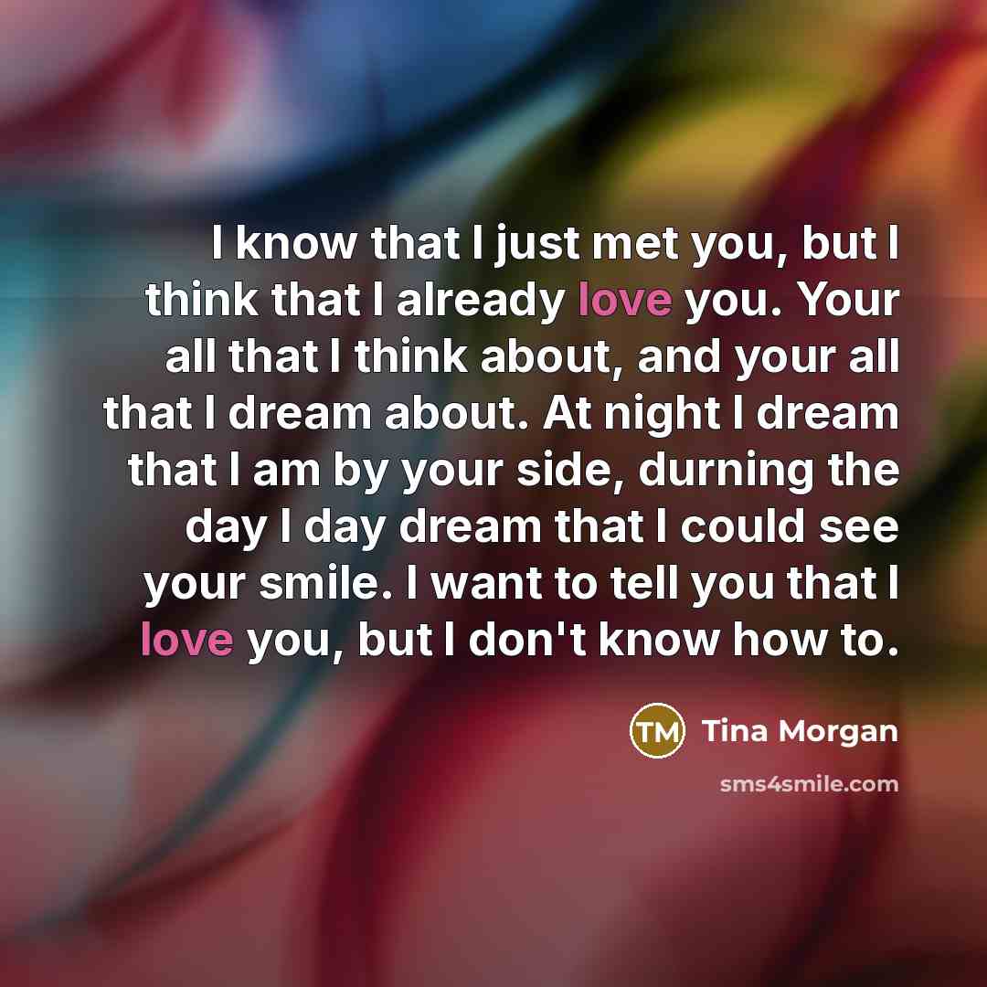 “I know that I just met you, but I think…” quote by Tina Morgan