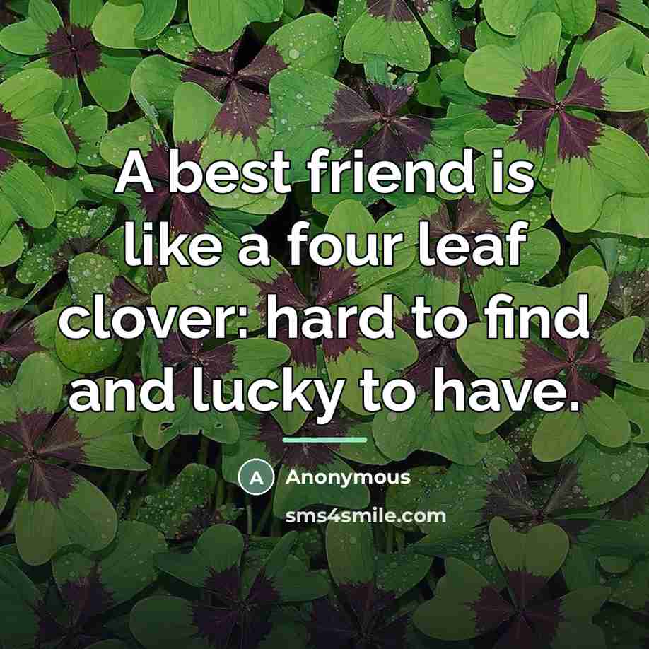 “A best friend is like a four leaf clover: hard…” quote by Anonymous