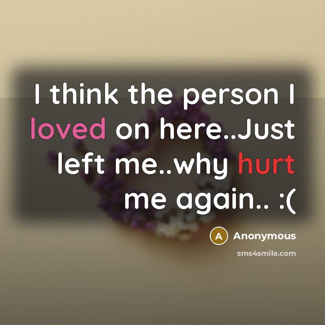 “I think the person I loved on here..Just left me..why hurt me again.. :(” quote by Anonymous