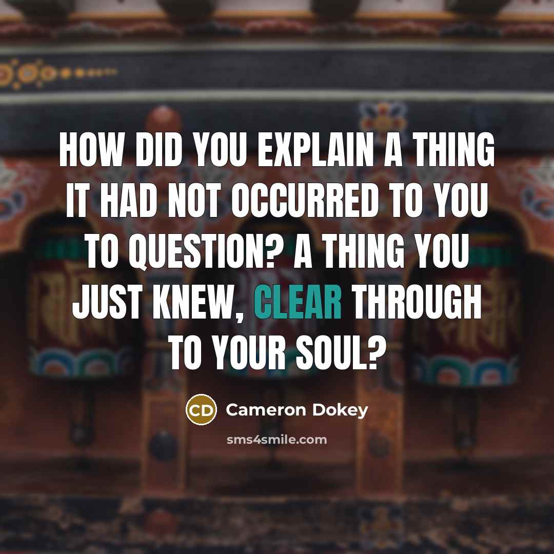 “How did you explain a thing it had not occurred…” quote by Cameron Dokey