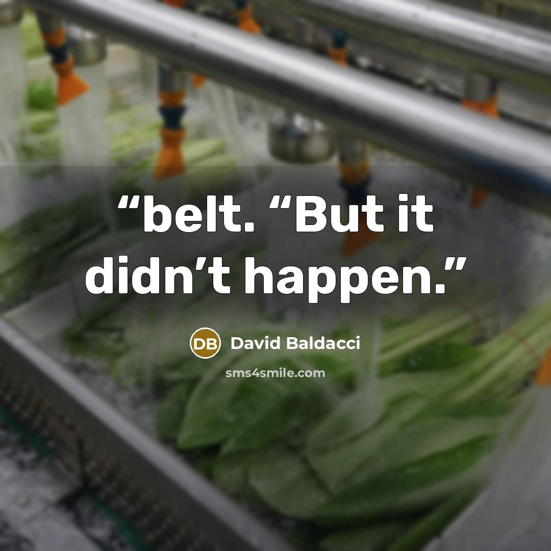 “belt. “But it didn’t happen.” quote by David Baldacci