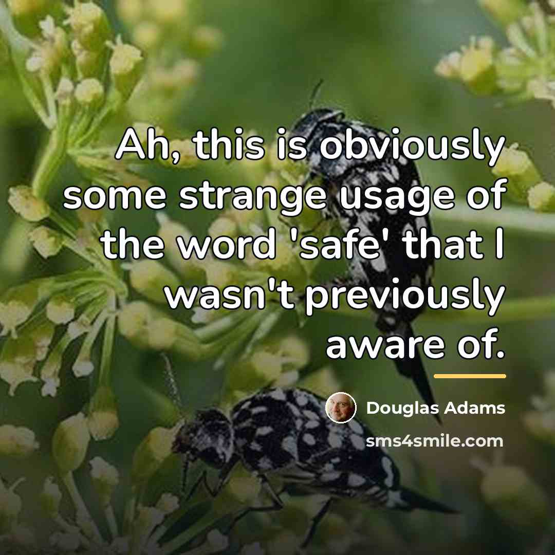 “Ah, this is obviously some strange usage of the word…” quote by Douglas Adams