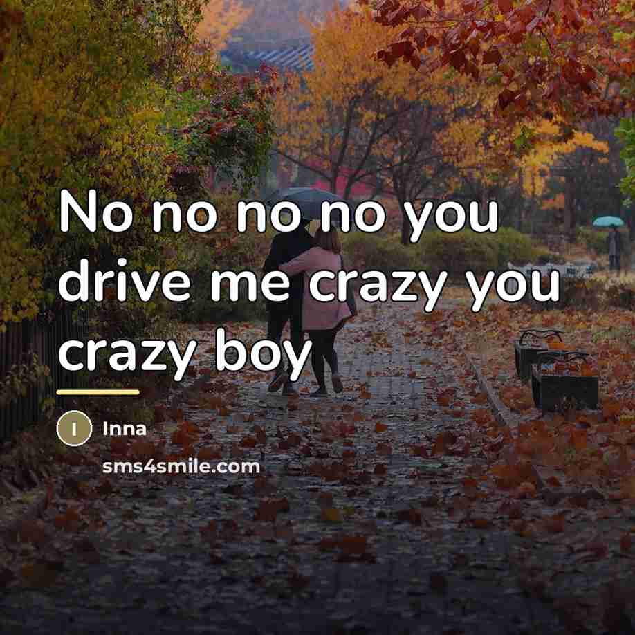 “No no no no you drive me crazy you crazy…” quote by Inna