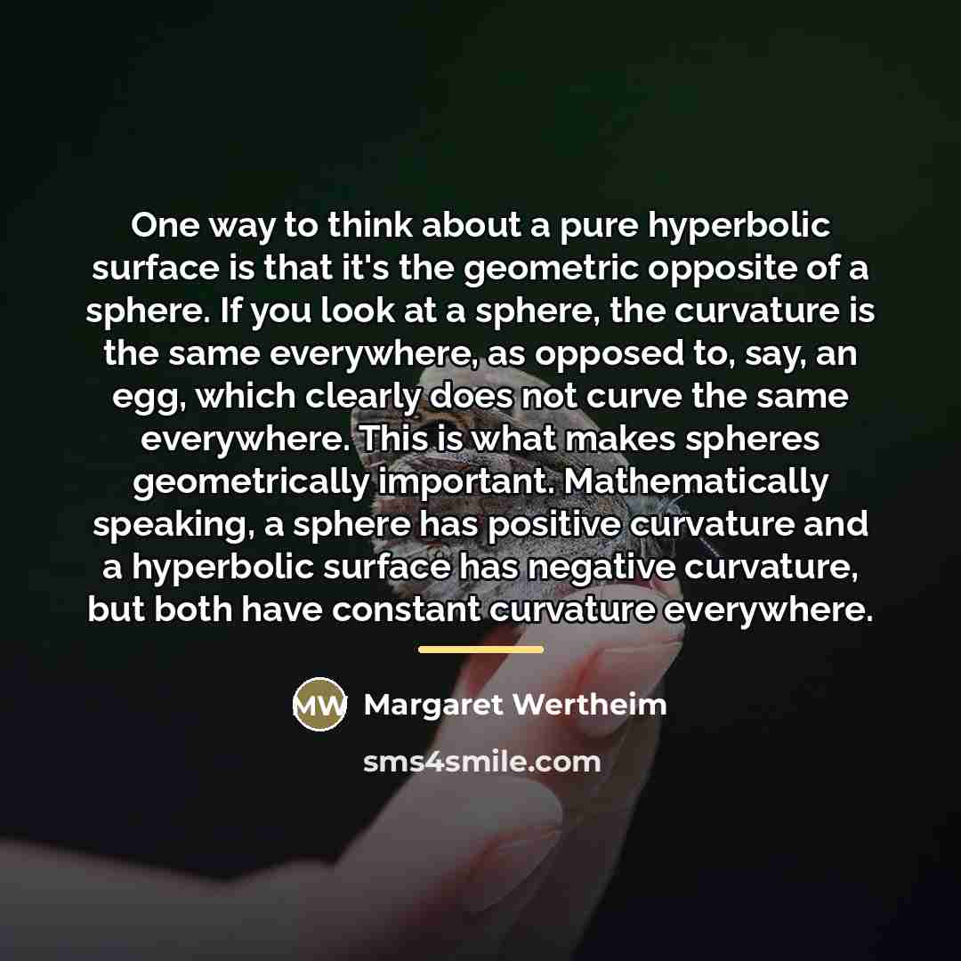 “One way to think about a pure hyperbolic surface is…” quote by Margaret Wertheim