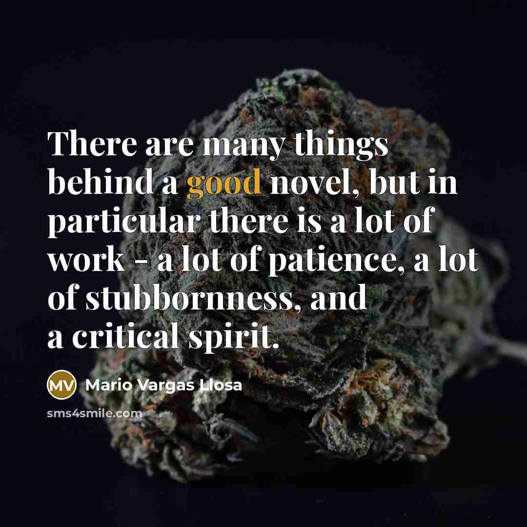 “There are many things behind a good novel, but in…” quote by Mario Vargas Llosa