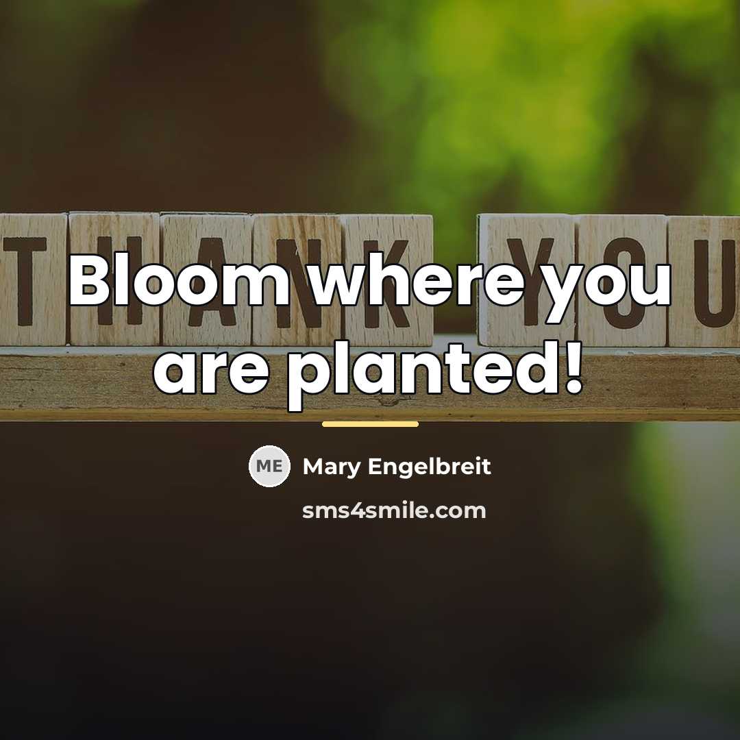 “Bloom where you are planted!…” quote by Mary Engelbreit
