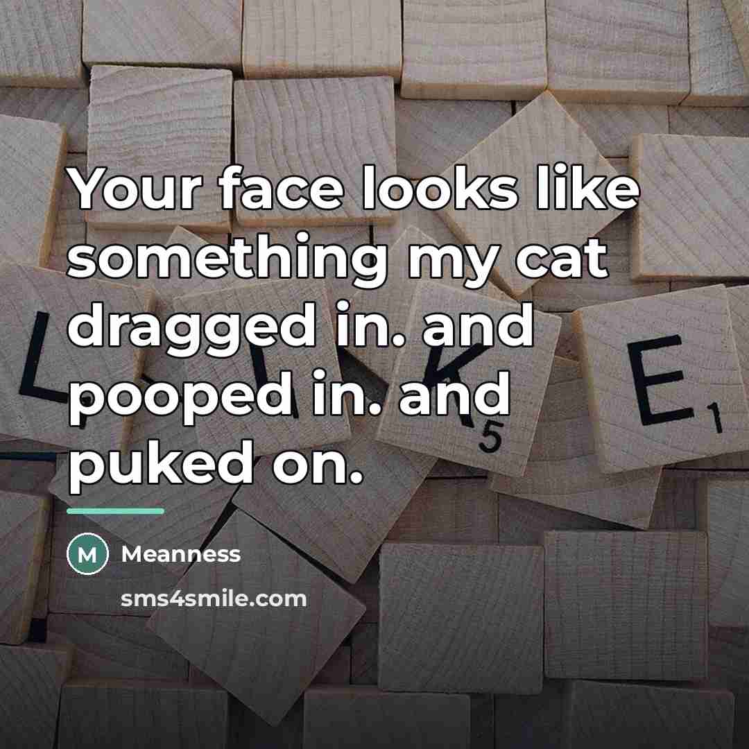 “Your face looks like something my cat dragged in. and…” quote by Meanness