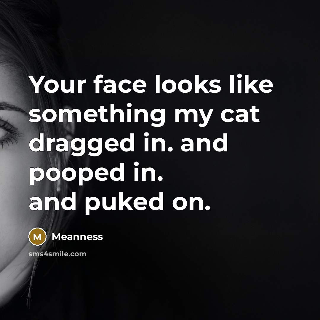 “Your face looks like something my cat dragged in. and pooped in. and puked on.” quote by Meanness