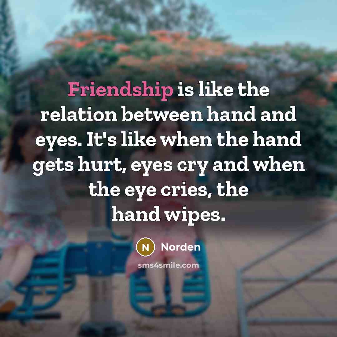 “Friendship is like the relation between hand and eyes. It's…” quote by Norden