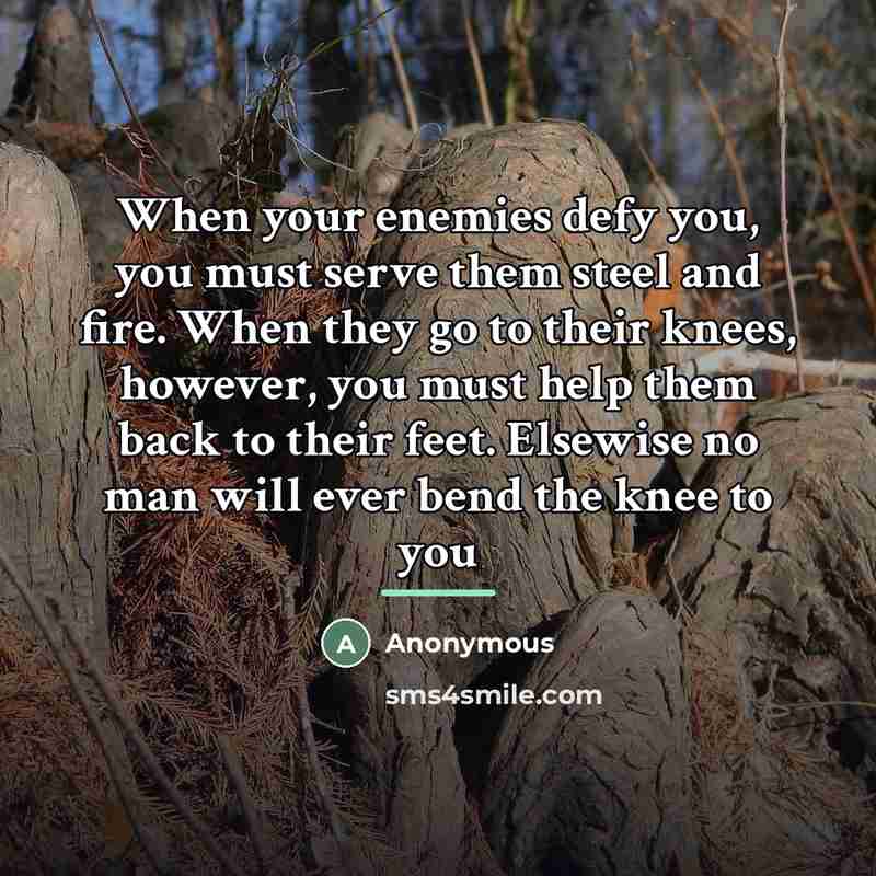 “When your enemies defy you, you must serve them steel…” quote by Anonymous