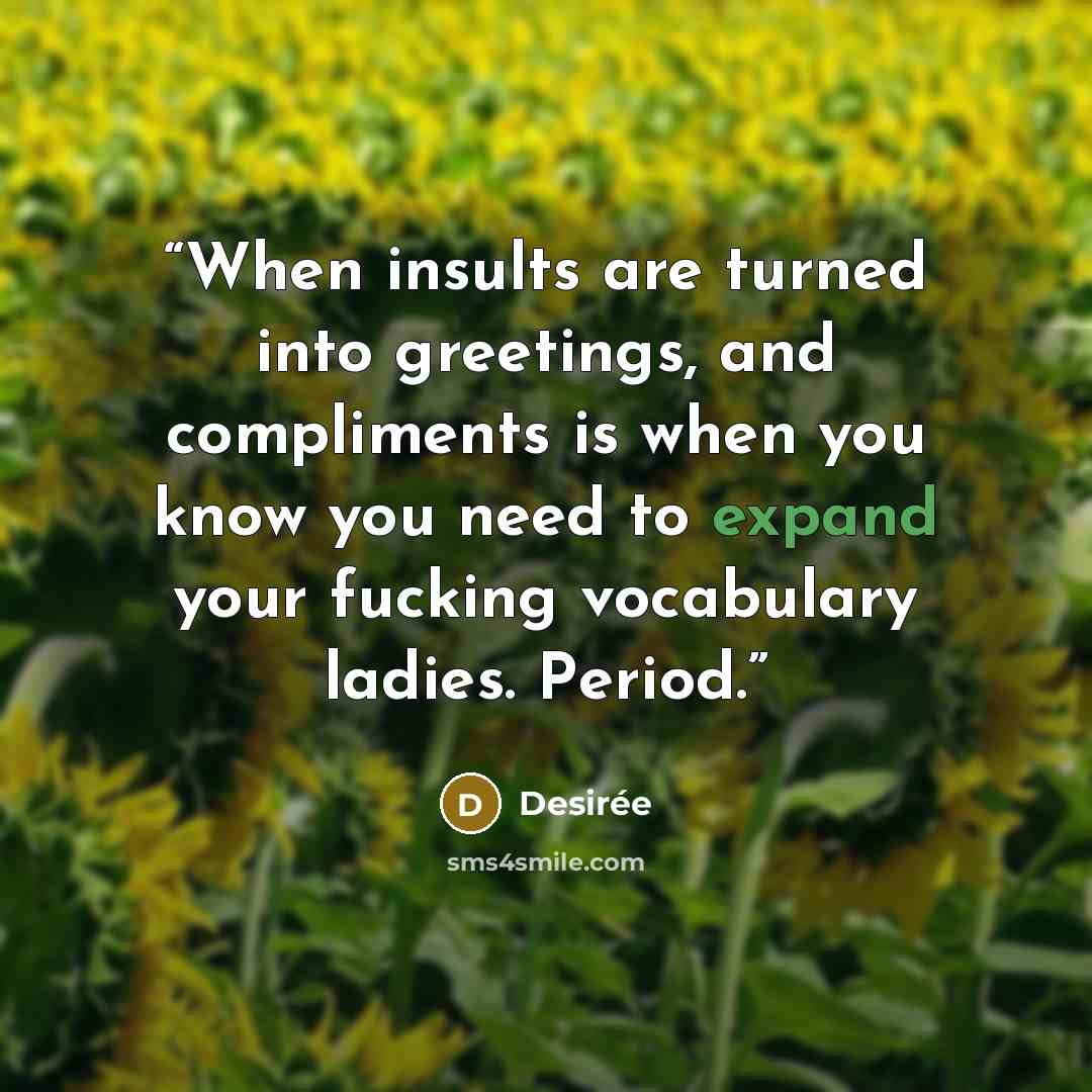 “When insults are turned into greetings, and compliments is when you know you need to expand your fucking vocabulary ladies. Period.” quote by Desirée