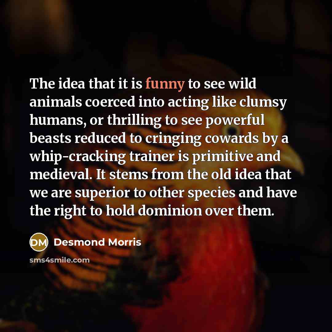 “The idea that it is funny to see wild animals…” quote by Desmond Morris