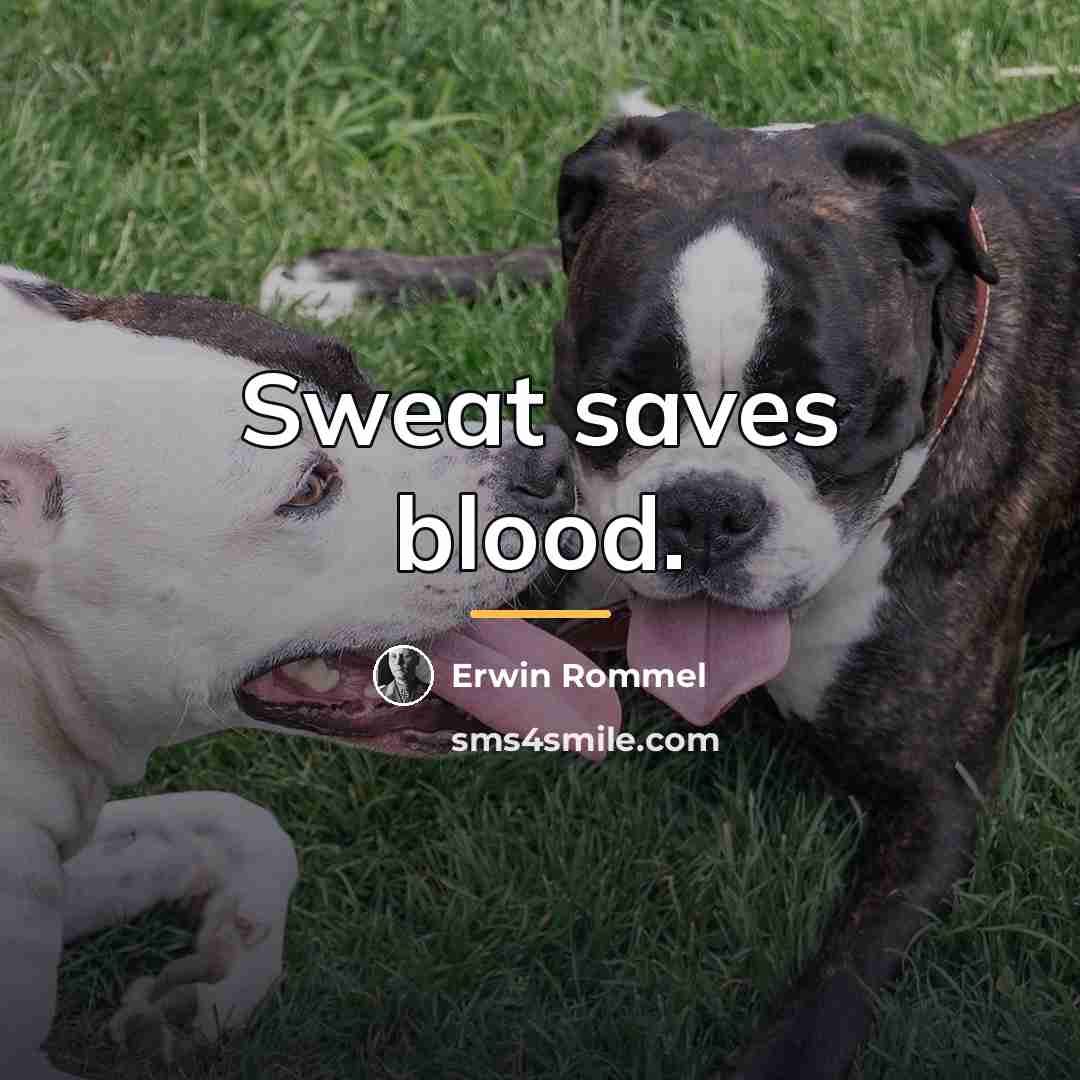 “Sweat saves blood.…” quote by Erwin Rommel