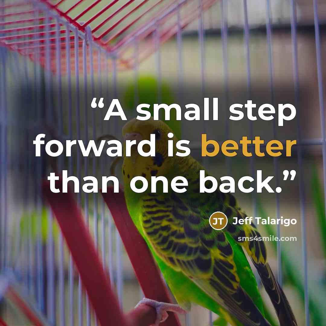 “A small step forward is better than one back.” quote by Jeff Talarigo