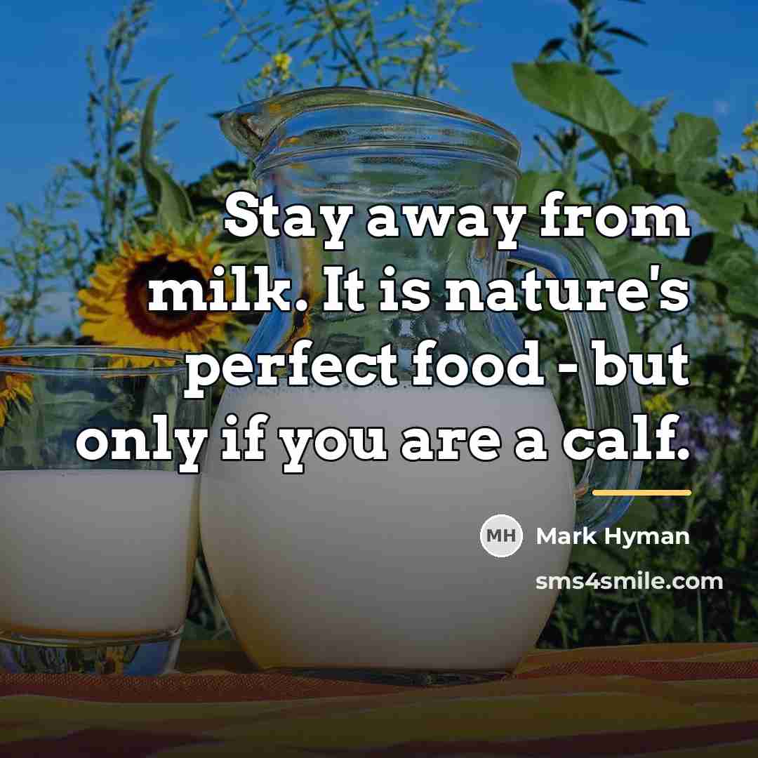 “Stay away from milk. It is nature's perfect food -…” quote by Mark Hyman