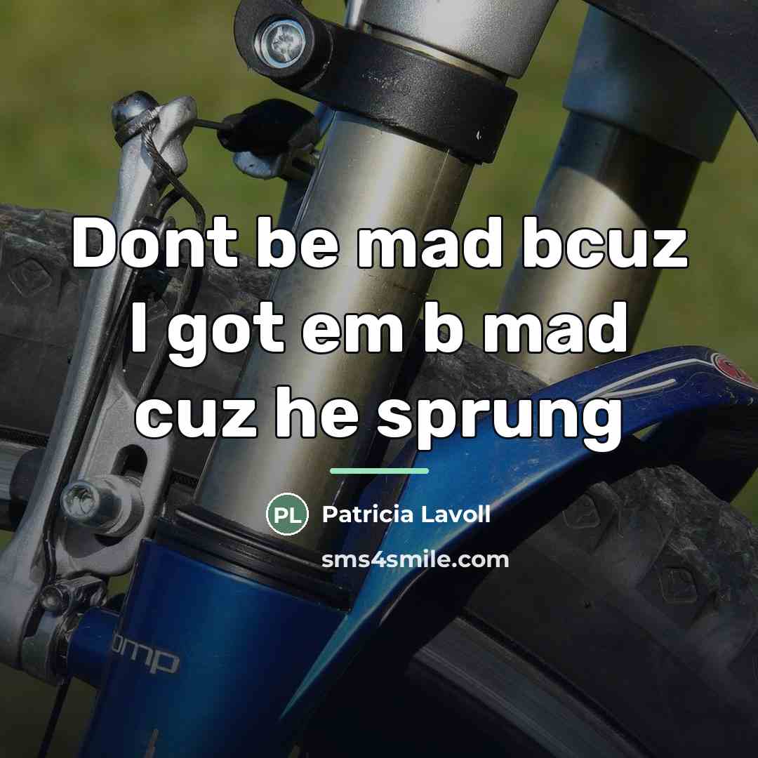 “Dont be mad bcuz I got em b mad cuz…” quote by Patricia Lavoll