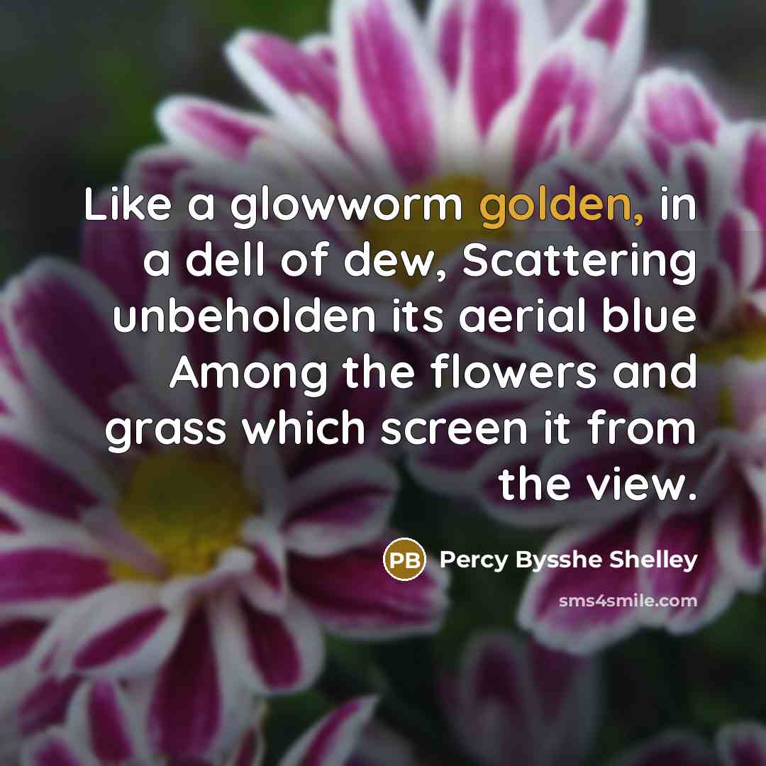 “Like a glowworm golden, in a dell of dew, Scattering…” quote by Percy Bysshe Shelley
