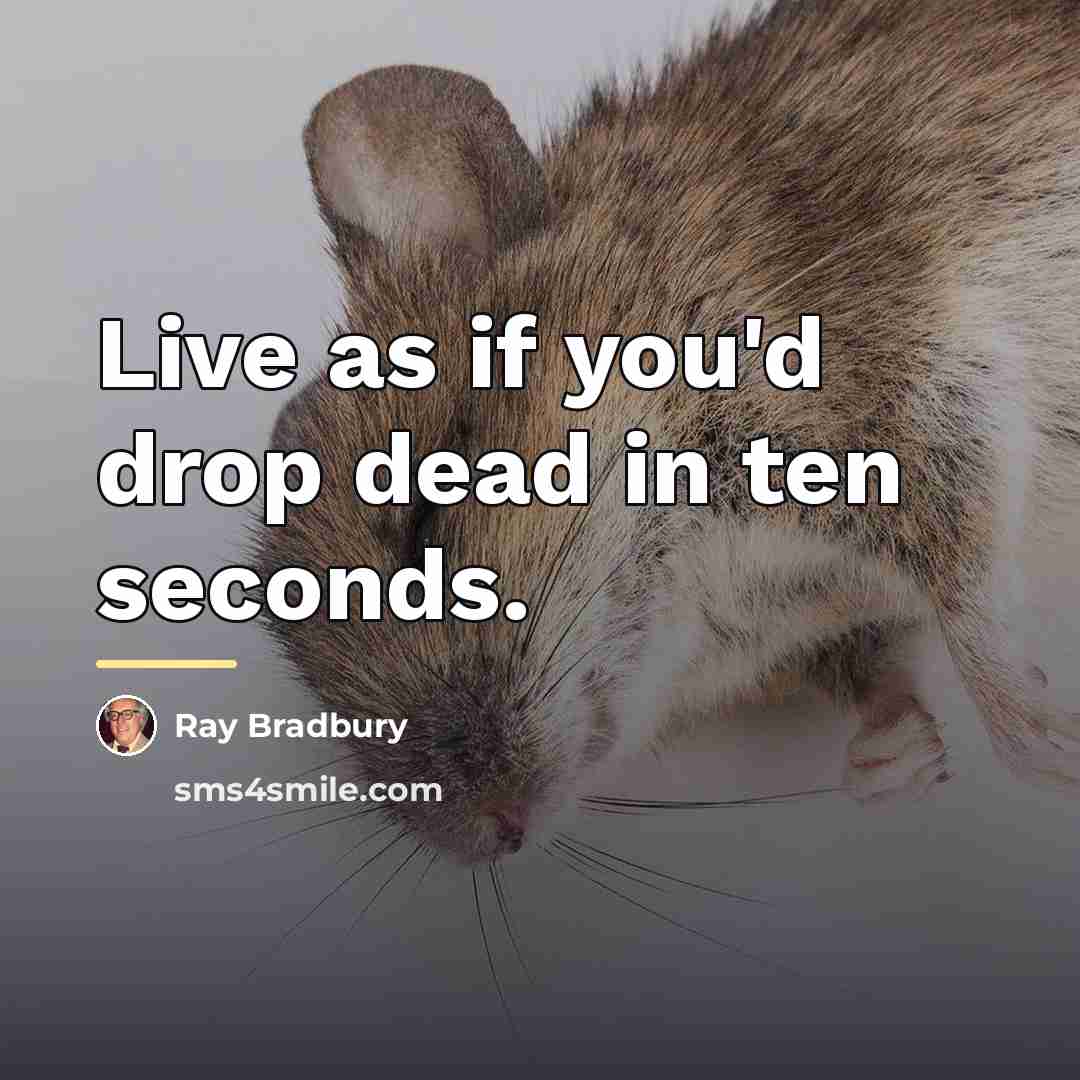 “Live as if you'd drop dead in ten seconds.…” quote by Ray Bradbury