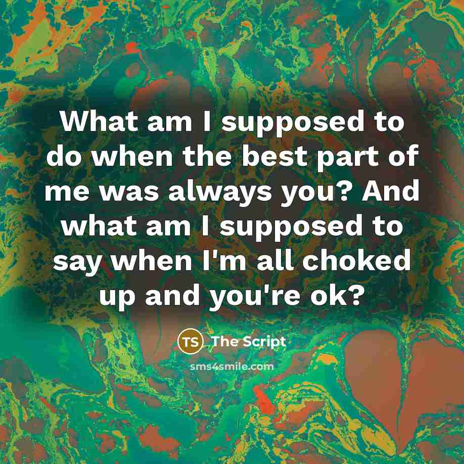 “What am I supposed to do when the best part…” quote by The Script